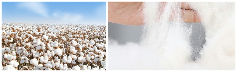 jinnian金年会医纺