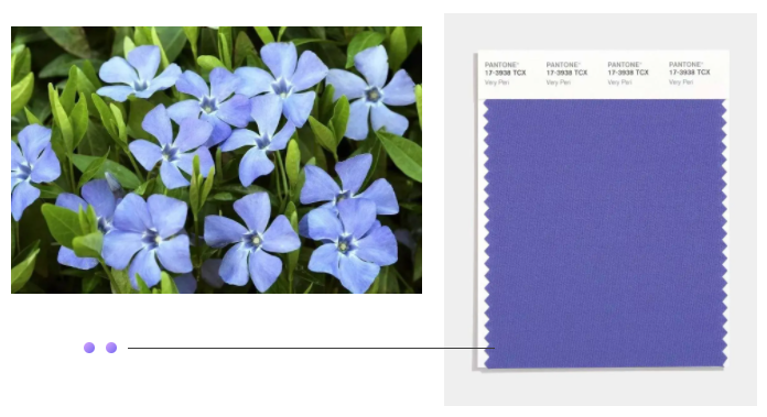 jinnian金年会纺织面料